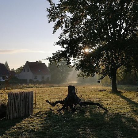 Ferienwohnung & Campingplatz Vor Dem Berg Heideblick Buitenkant foto